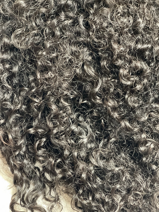 Raw Vietnamese Curly Bundle